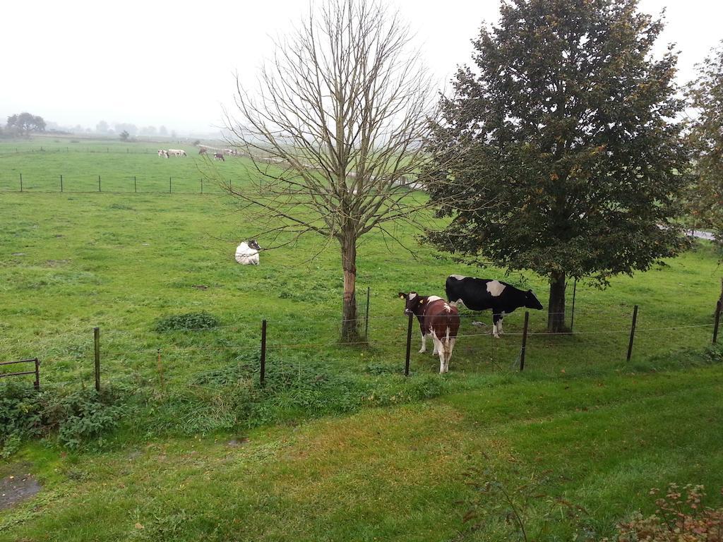 B&B De Rivierduin Hattem Exteriér fotografie